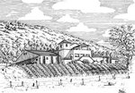 Oakville Ranch Vineyards